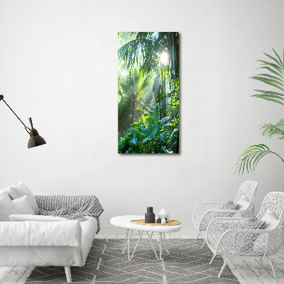 Tableau photo sur toile Jungle