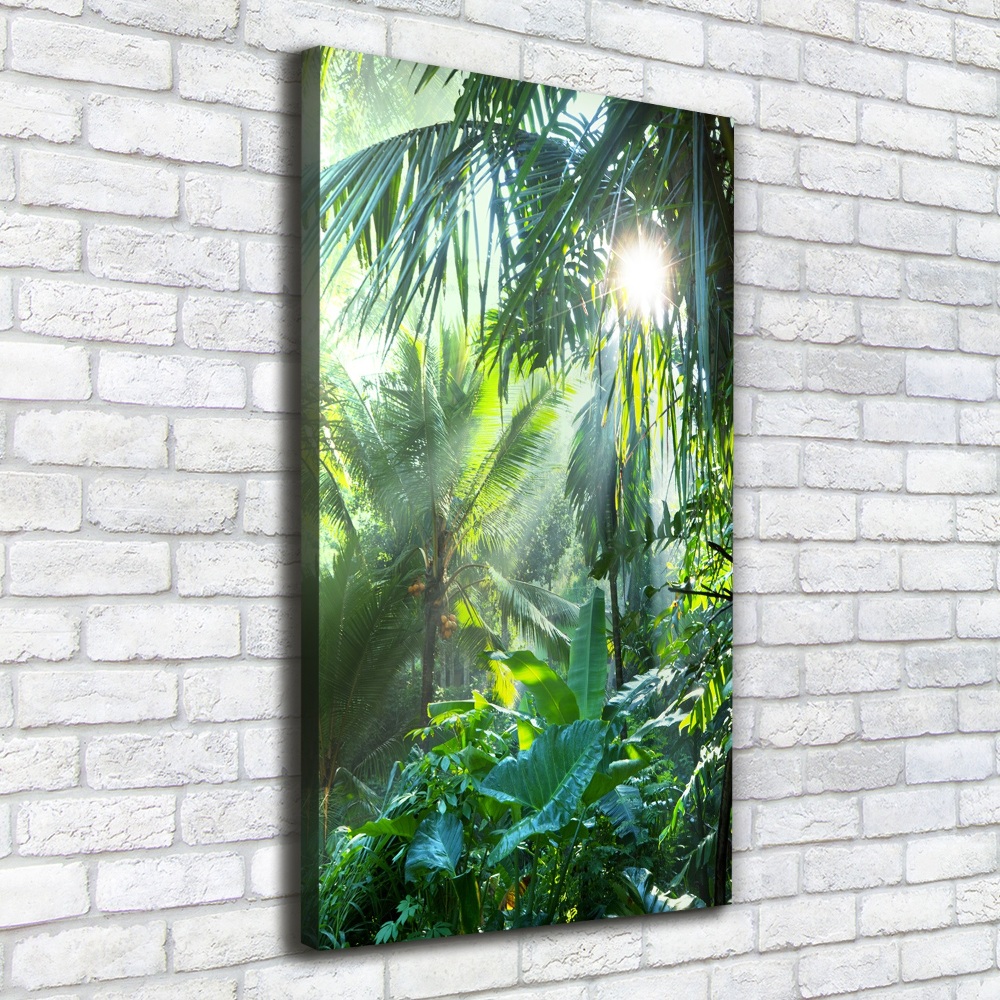 Tableau photo sur toile Jungle