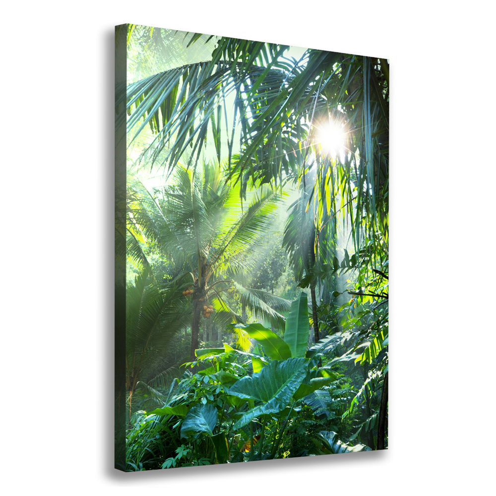 Tableau photo sur toile Jungle