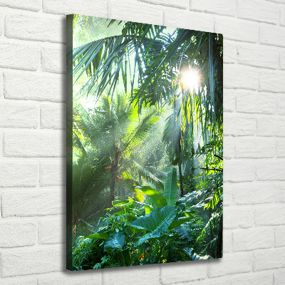 Tableau photo sur toile Jungle