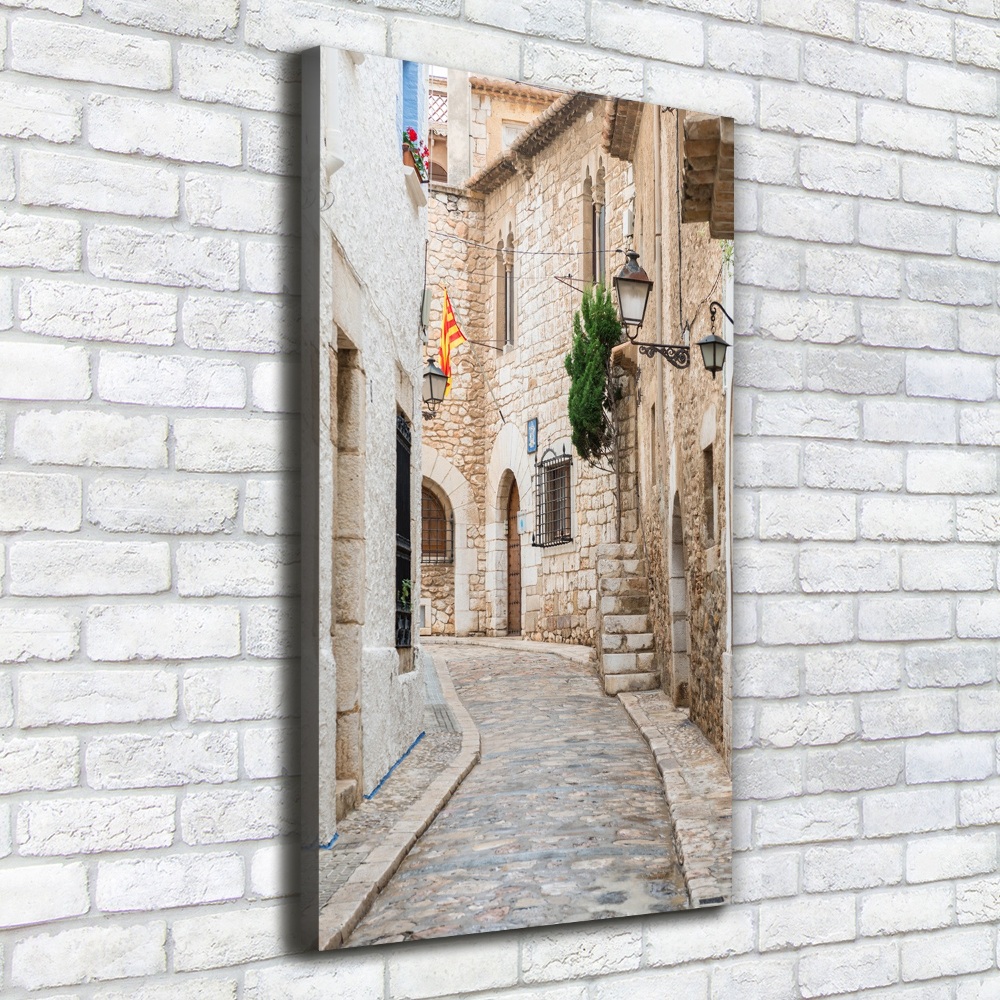 Tableau imprimé sur toile Rues en Espagne