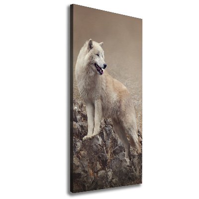 Tableau sur toile Loup sur un rocher