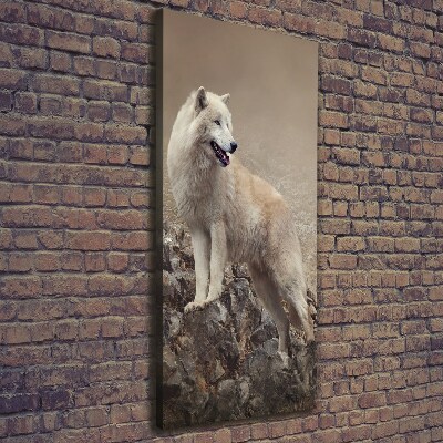 Tableau sur toile Loup sur un rocher