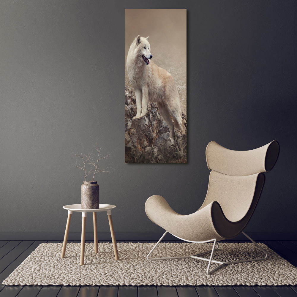 Tableau sur toile Loup sur un rocher