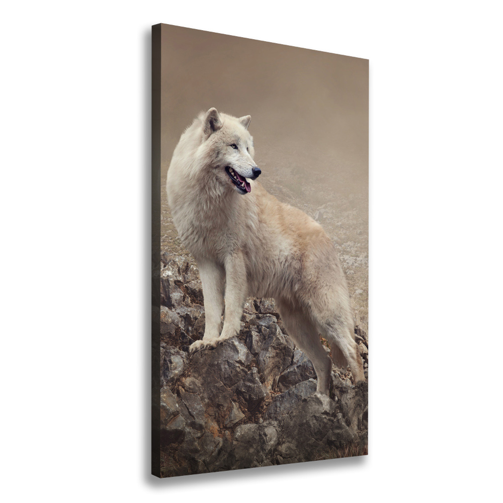 Tableau sur toile Loup sur un rocher