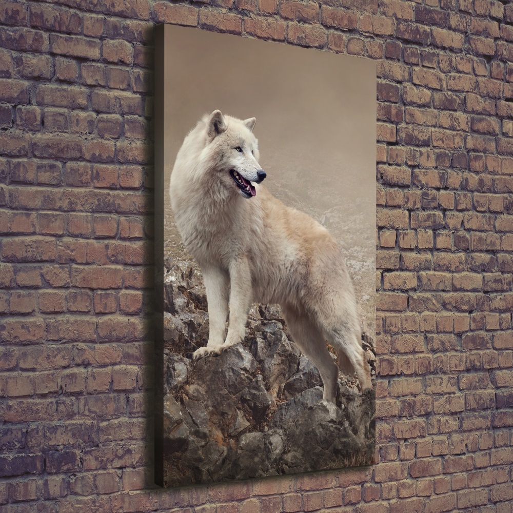 Tableau sur toile Loup sur un rocher