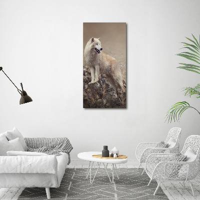 Tableau sur toile Loup sur un rocher