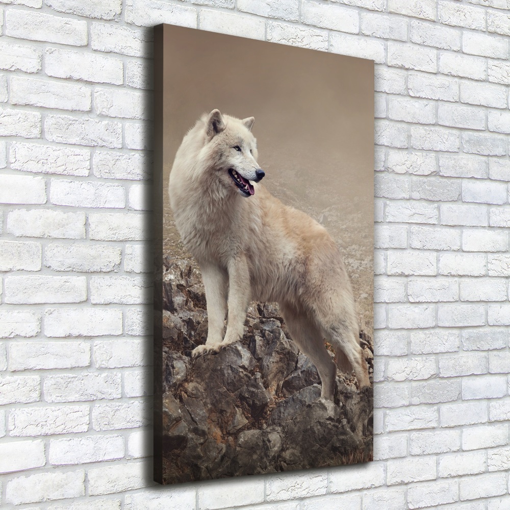 Tableau sur toile Loup sur un rocher