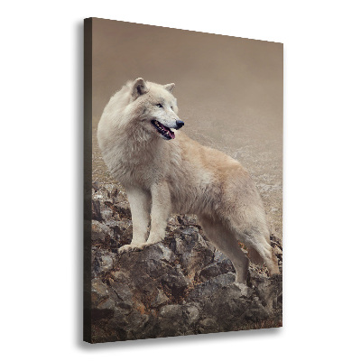 Tableau sur toile Loup sur un rocher