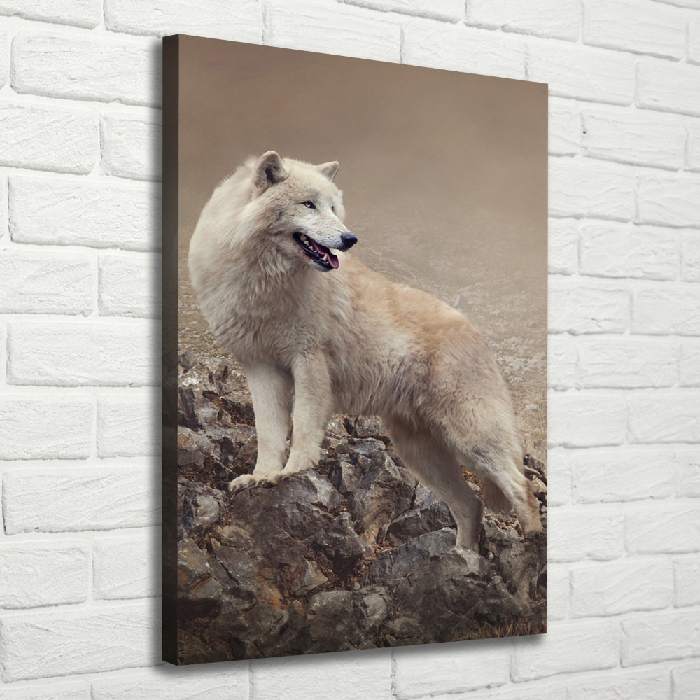 Tableau sur toile Loup sur un rocher