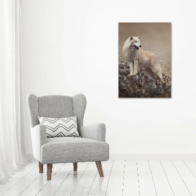 Tableau sur toile Loup sur un rocher