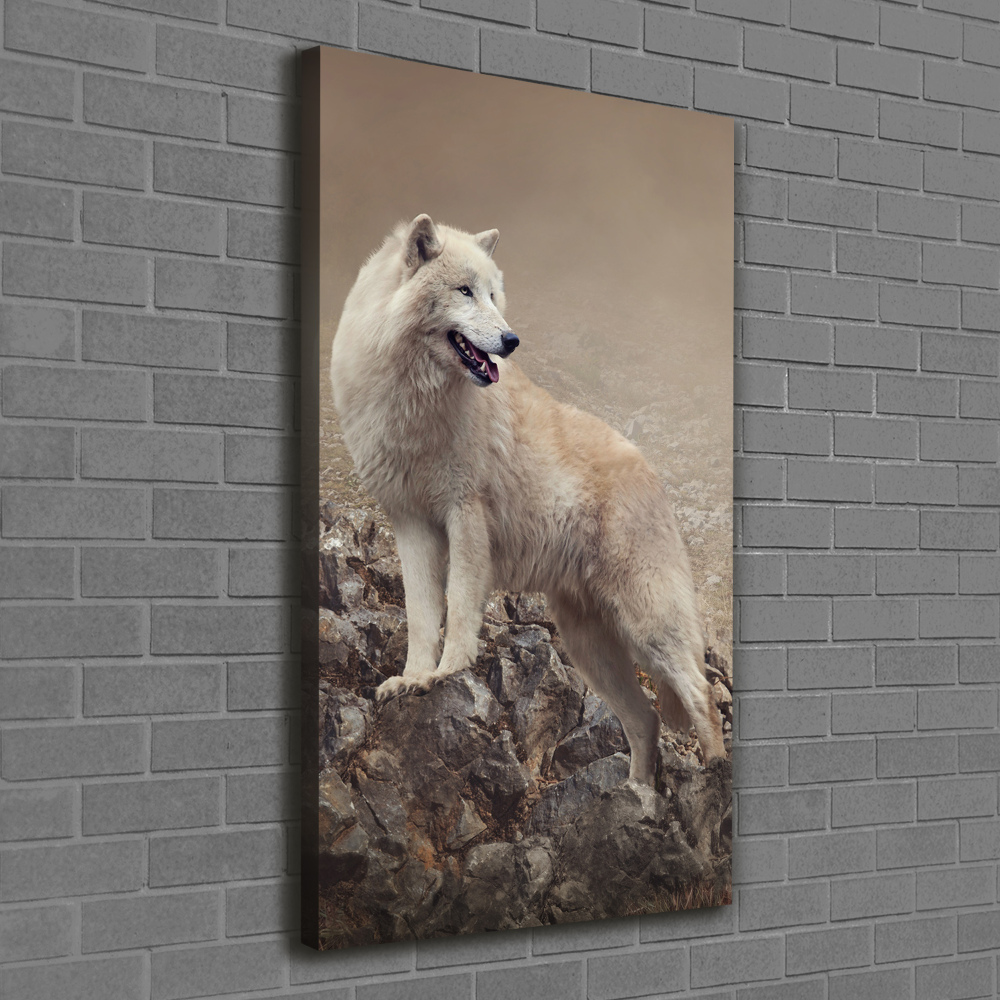 Tableau sur toile Loup sur un rocher