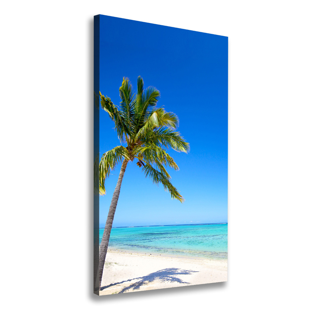 Tableau photo sur toile Plage exotique ocean