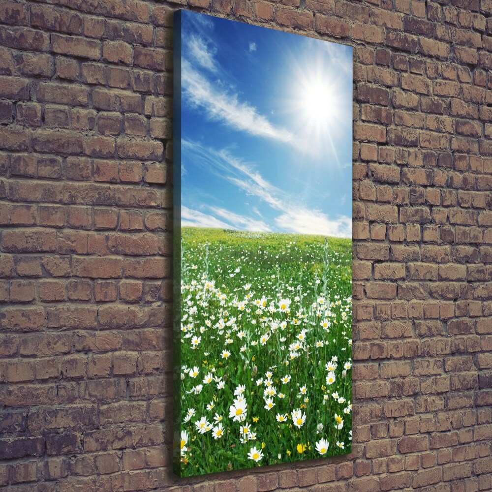 Tableau photo sur toile Prairie