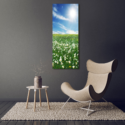 Tableau photo sur toile Prairie