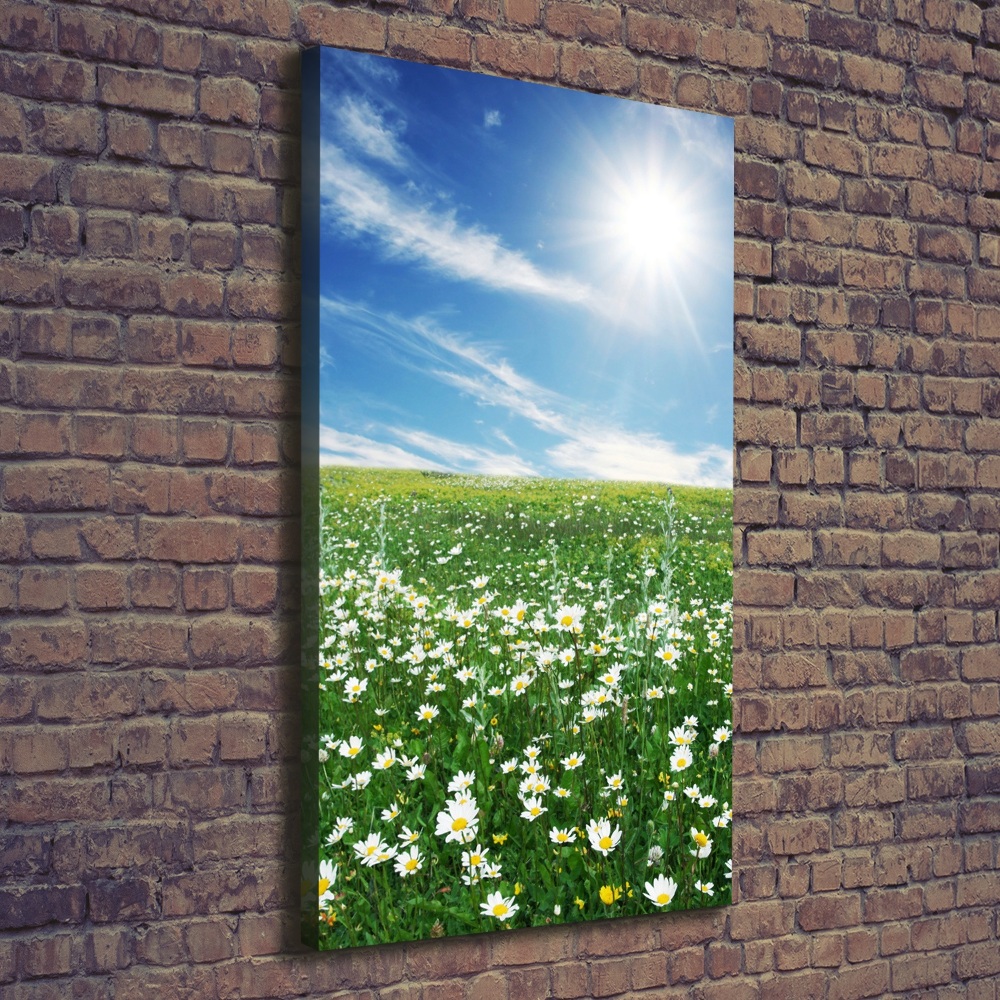 Tableau photo sur toile Prairie