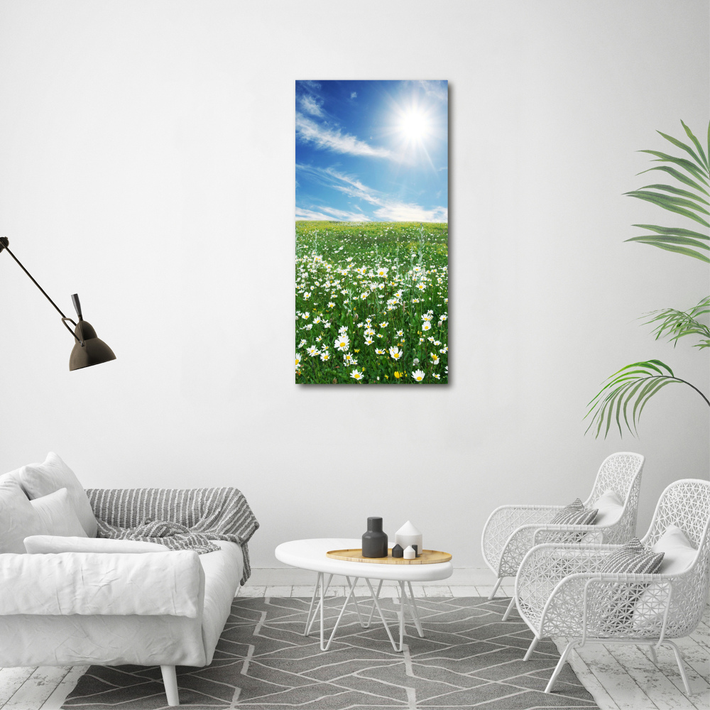 Tableau photo sur toile Prairie