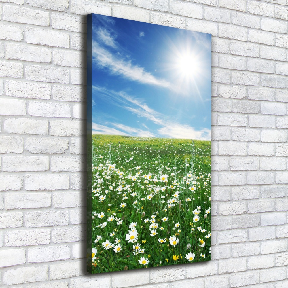 Tableau photo sur toile Prairie