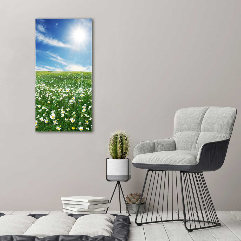 Tableau photo sur toile Prairie