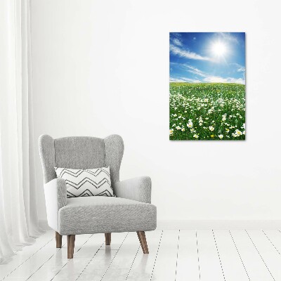 Tableau photo sur toile Prairie