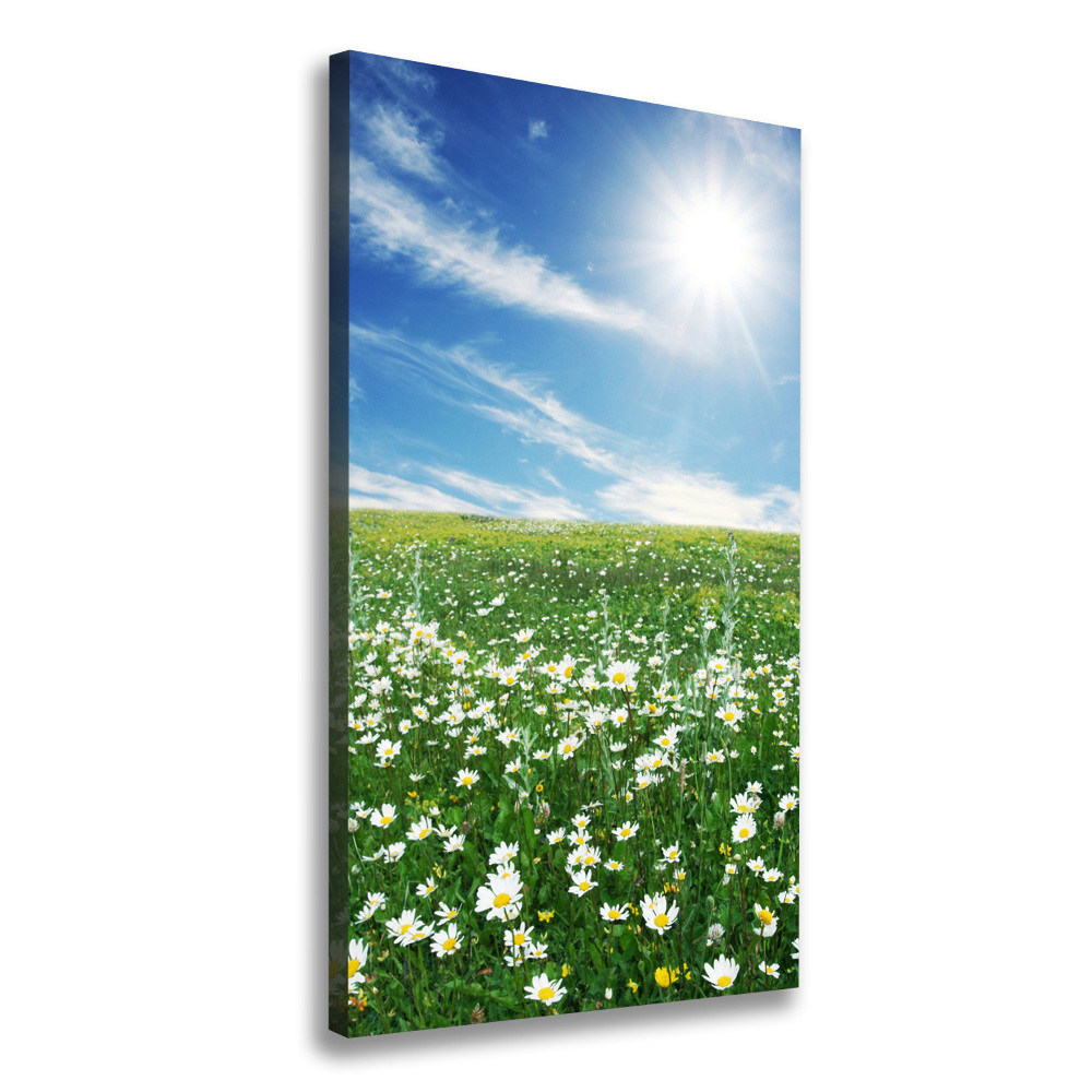 Tableau photo sur toile Prairie