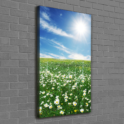 Tableau photo sur toile Prairie