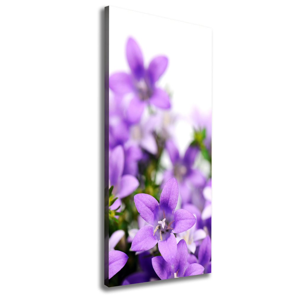 Tableau mural sur toile Cloches violettes