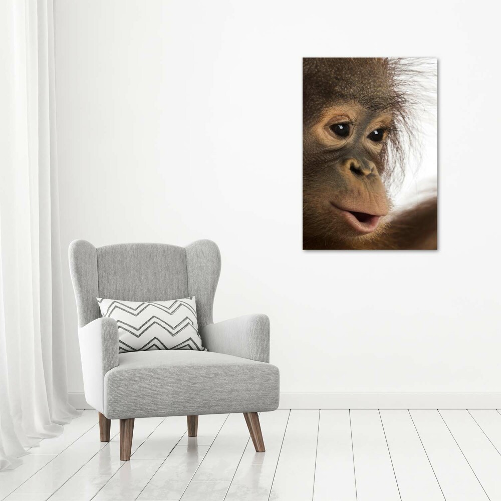 Tableau photo sur toile Jeune orang-outan