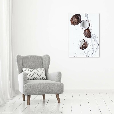 Tableau imprimé sur toile Noix de coco