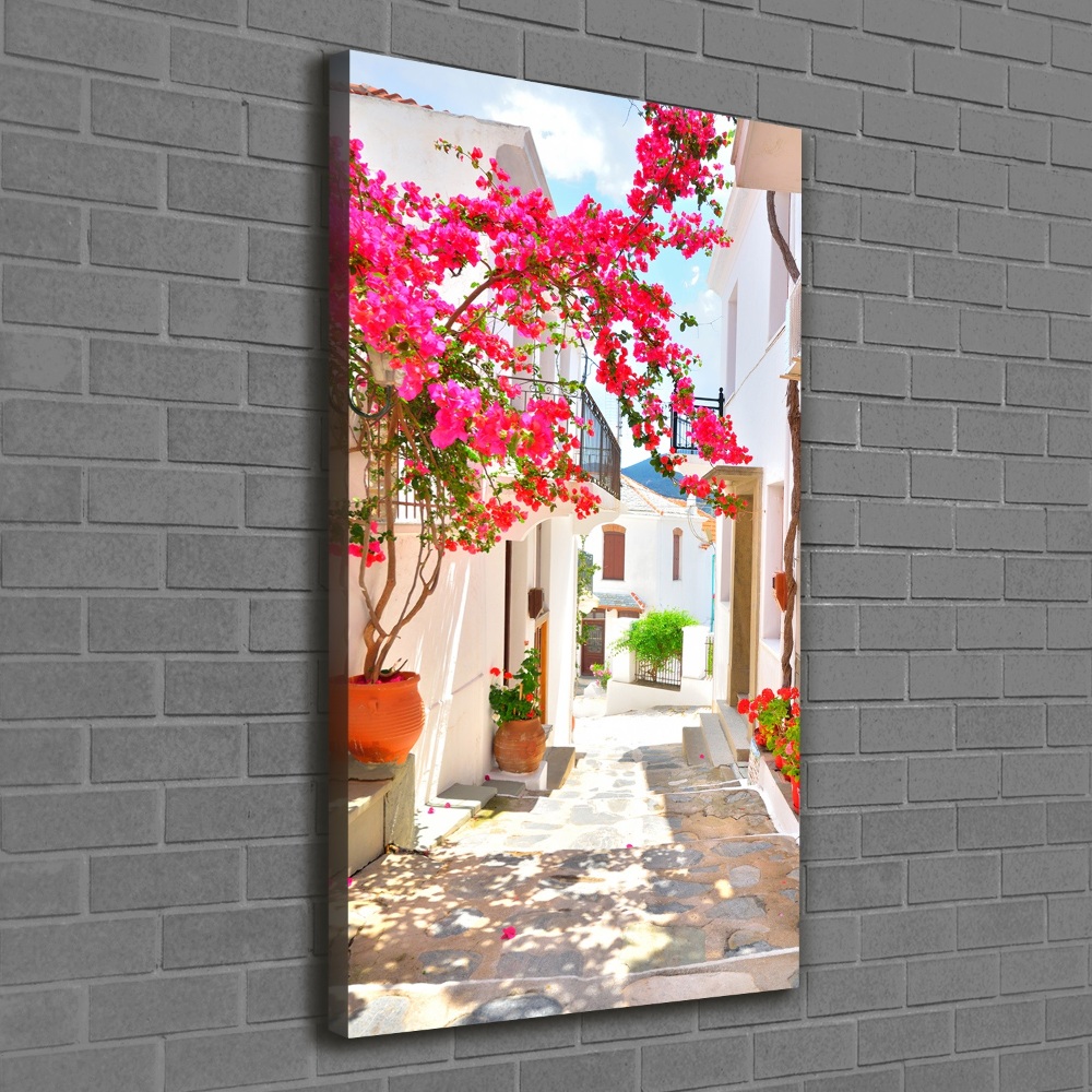 Tableau sur toile Rues grecques