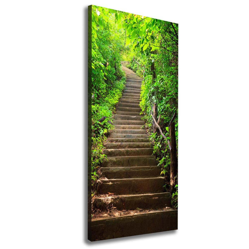 Tableau imprimé sur toile Escalier dans la forêt