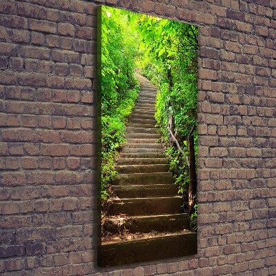 Tableau imprimé sur toile Escalier dans la forêt