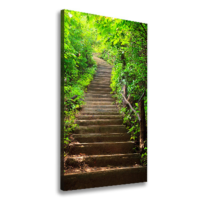 Tableau imprimé sur toile Escalier dans la forêt