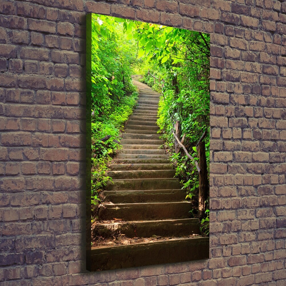 Tableau imprimé sur toile Escalier dans la forêt