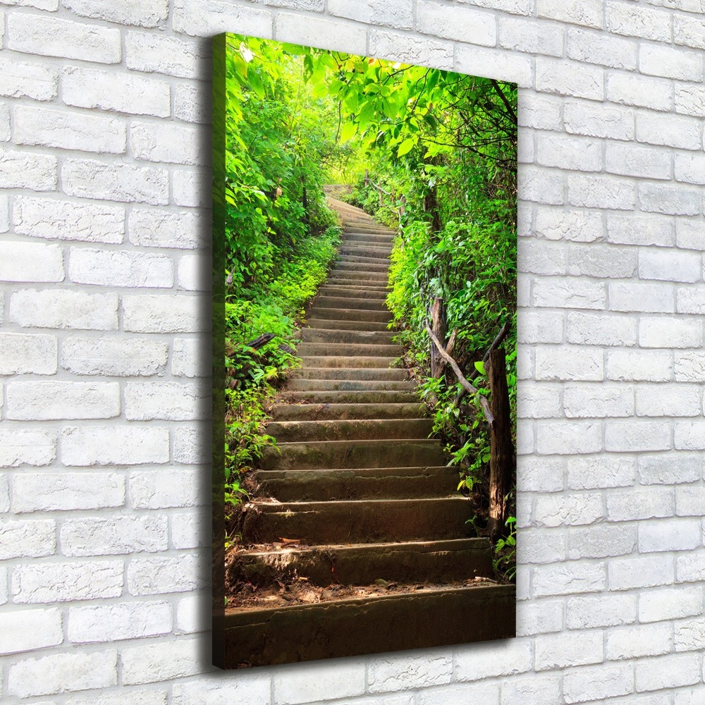 Tableau imprimé sur toile Escalier dans la forêt