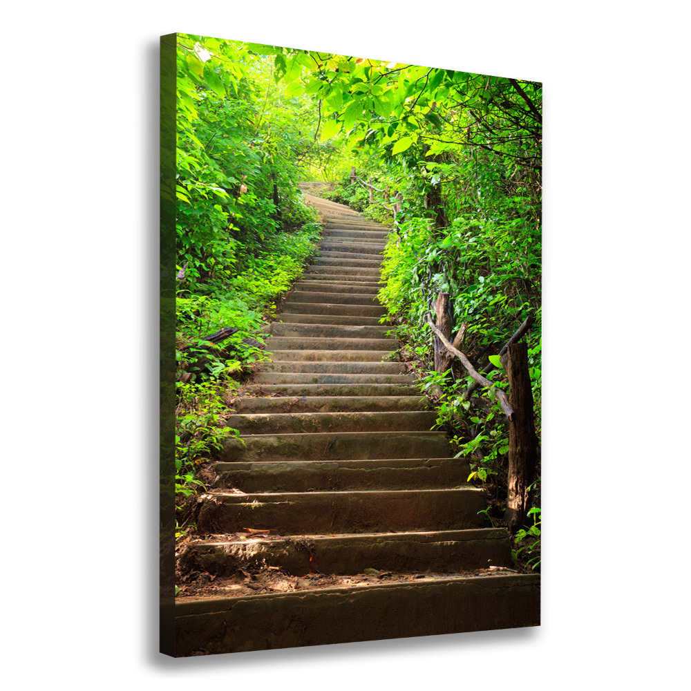 Tableau imprimé sur toile Escalier dans la forêt