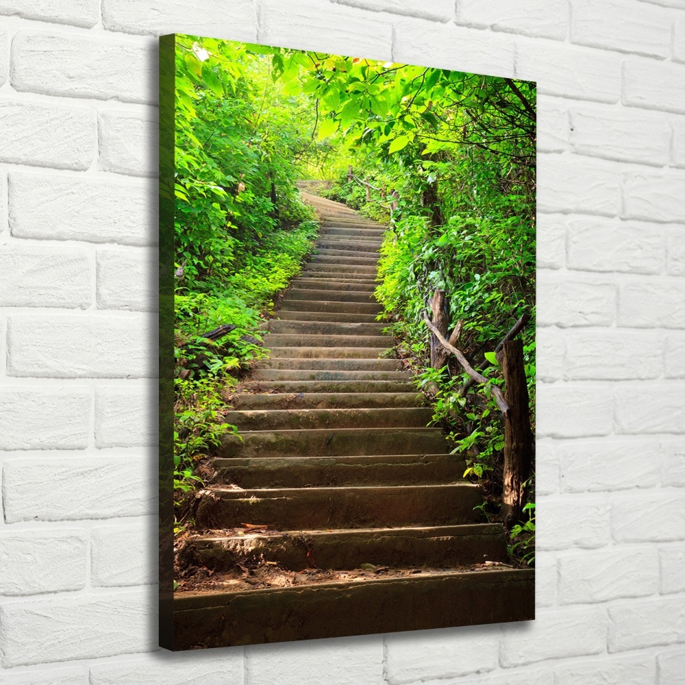 Tableau imprimé sur toile Escalier dans la forêt