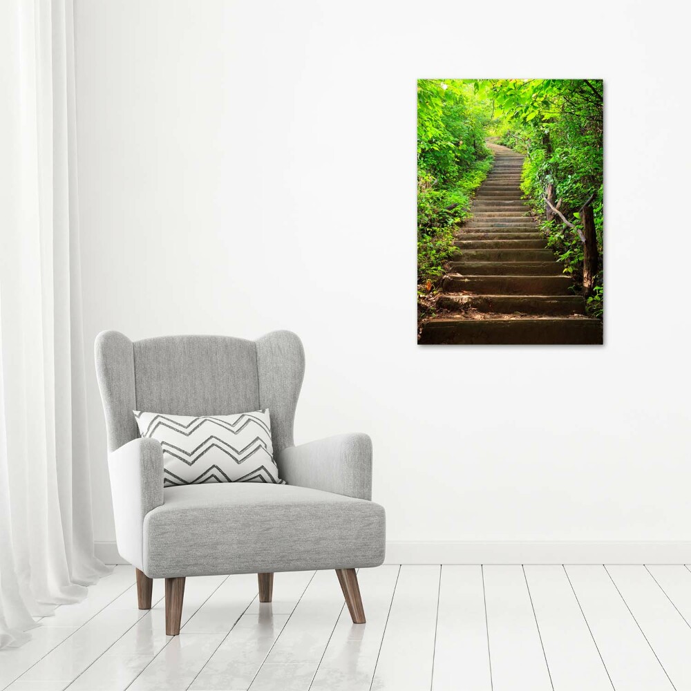 Tableau imprimé sur toile Escalier dans la forêt