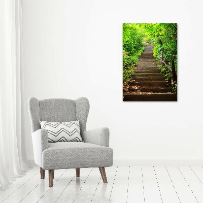 Tableau imprimé sur toile Escalier dans la forêt