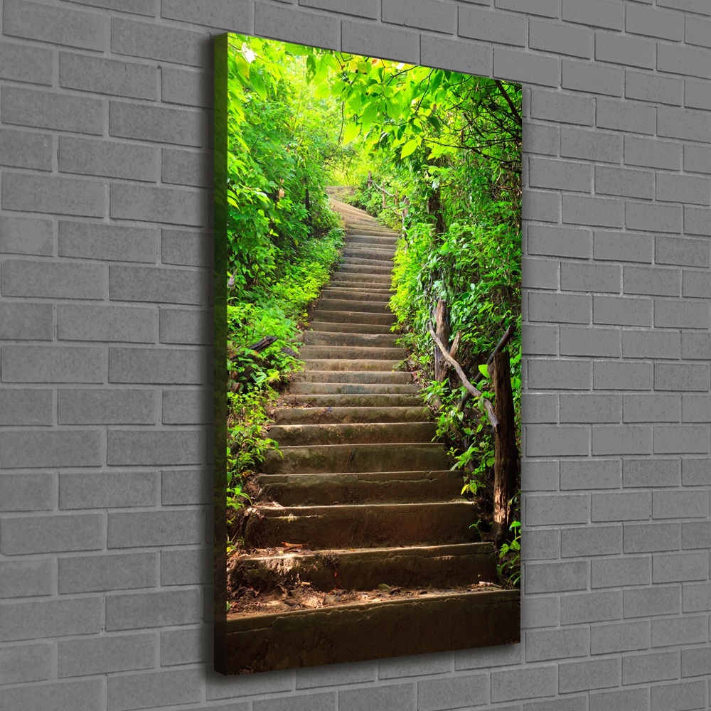 Tableau imprimé sur toile Escalier dans la forêt