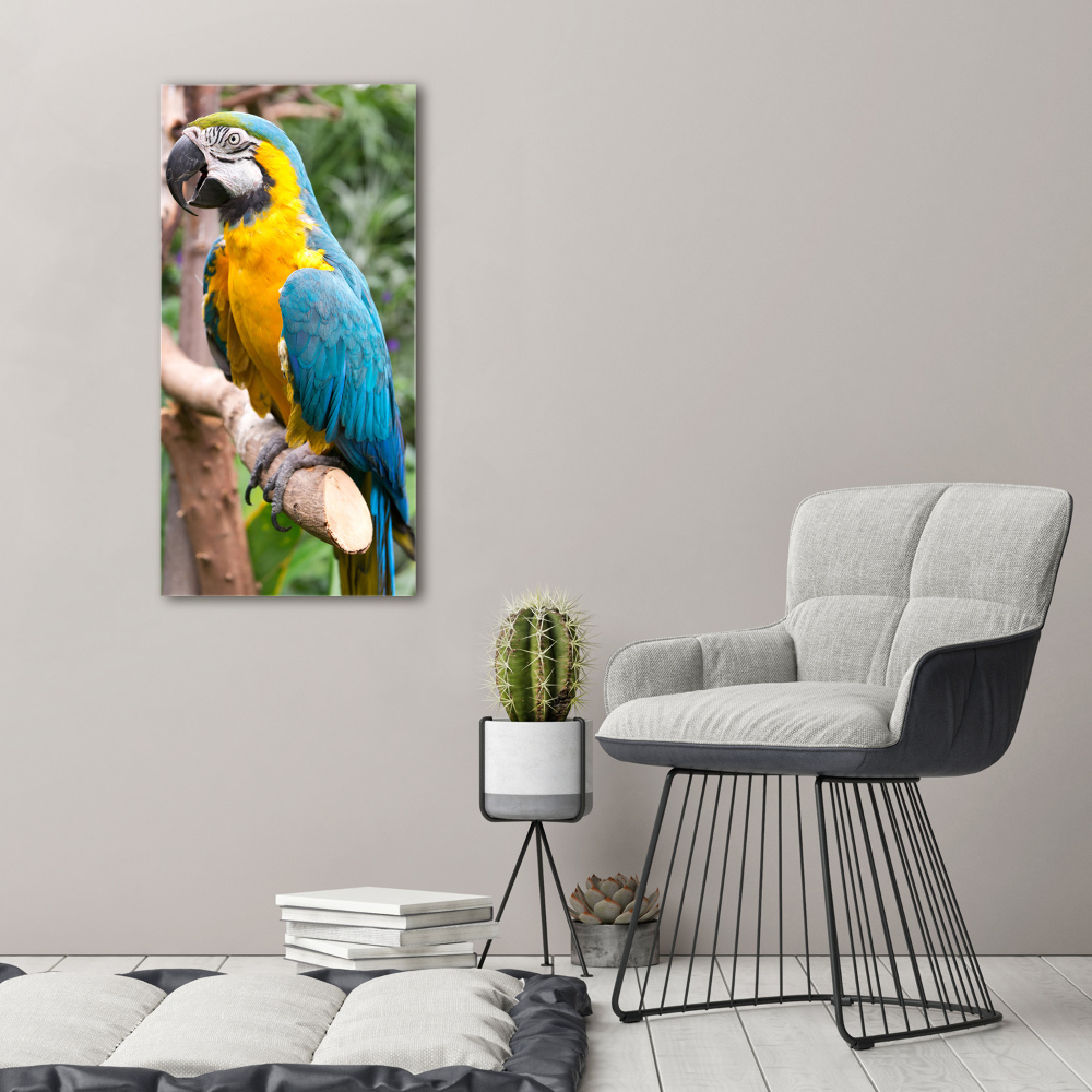 Tableau photo sur toile Perroquet Ara