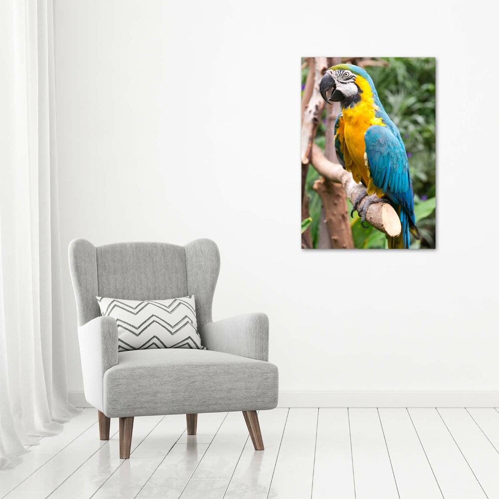 Tableau photo sur toile Perroquet Ara