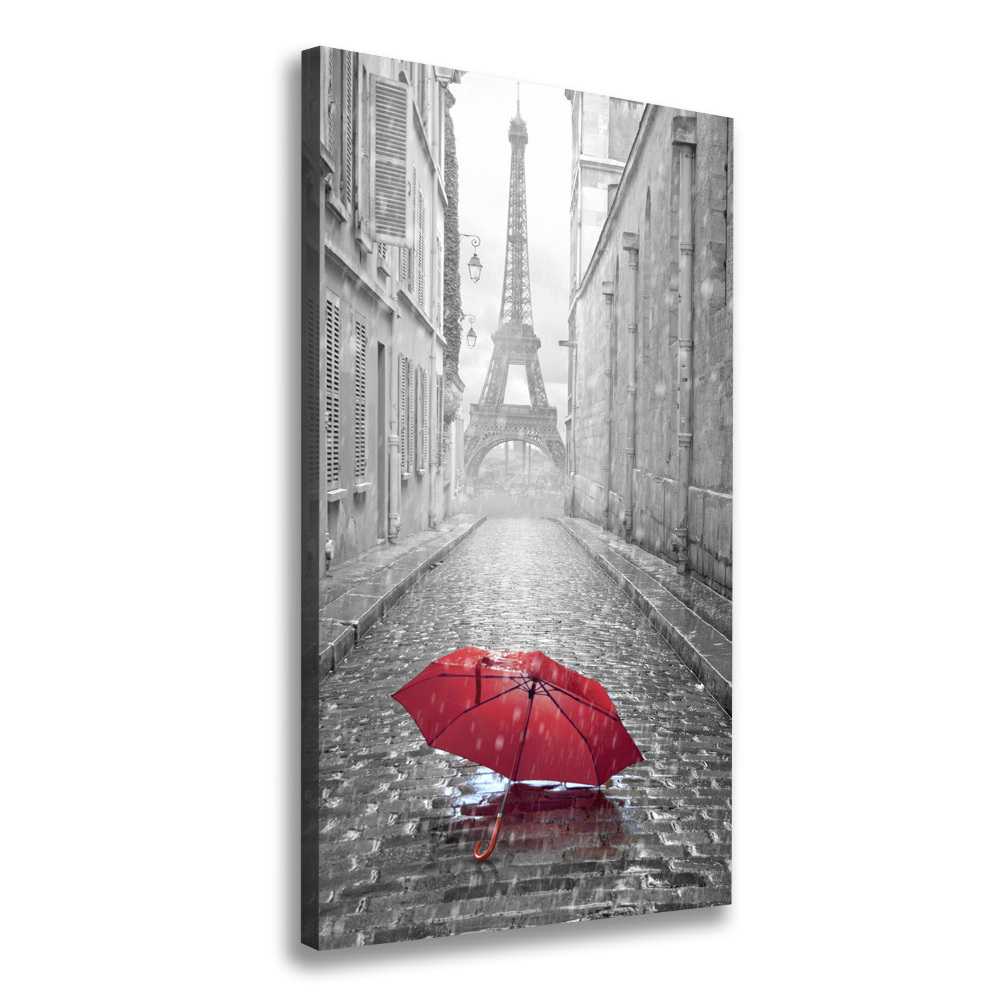 Tableau toile imprimée Parapluie France