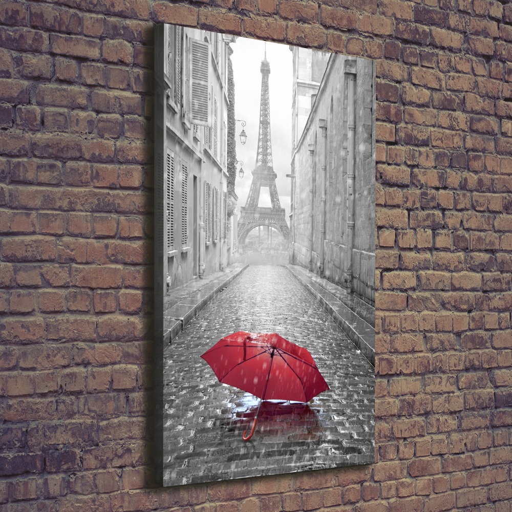 Tableau toile imprimée Parapluie France