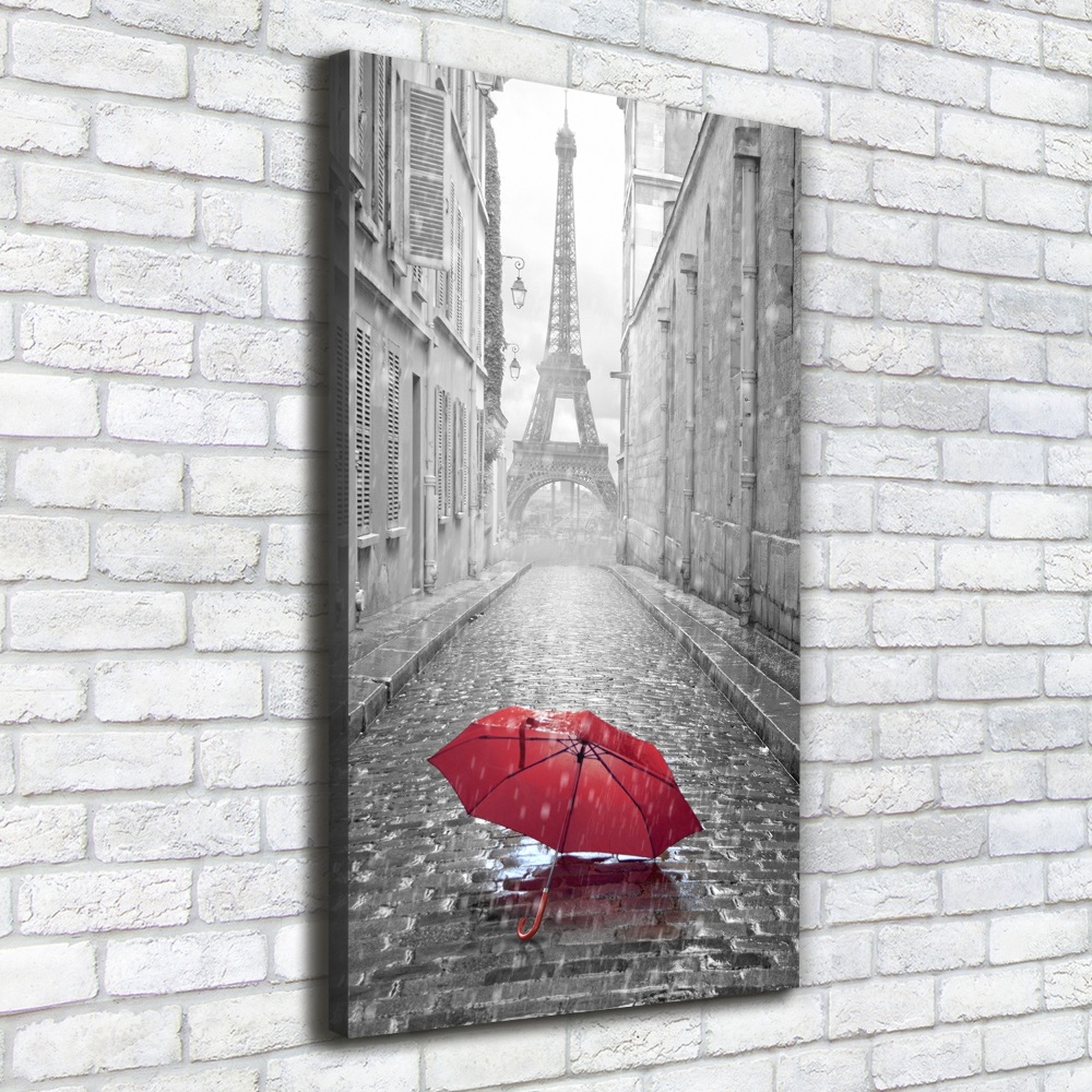 Tableau toile imprimée Parapluie France