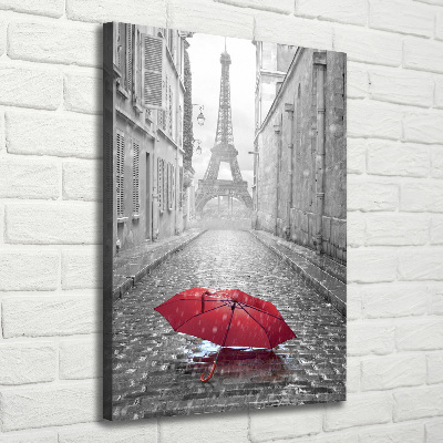 Tableau toile imprimée Parapluie France