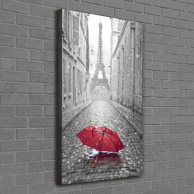 Tableau toile imprimée Parapluie France