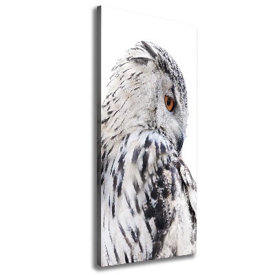 Tableau photo sur toile Hibou blanc