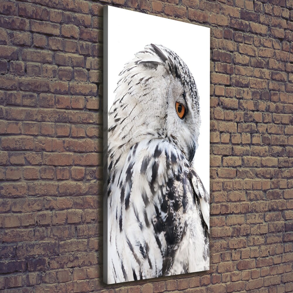 Tableau photo sur toile Hibou blanc