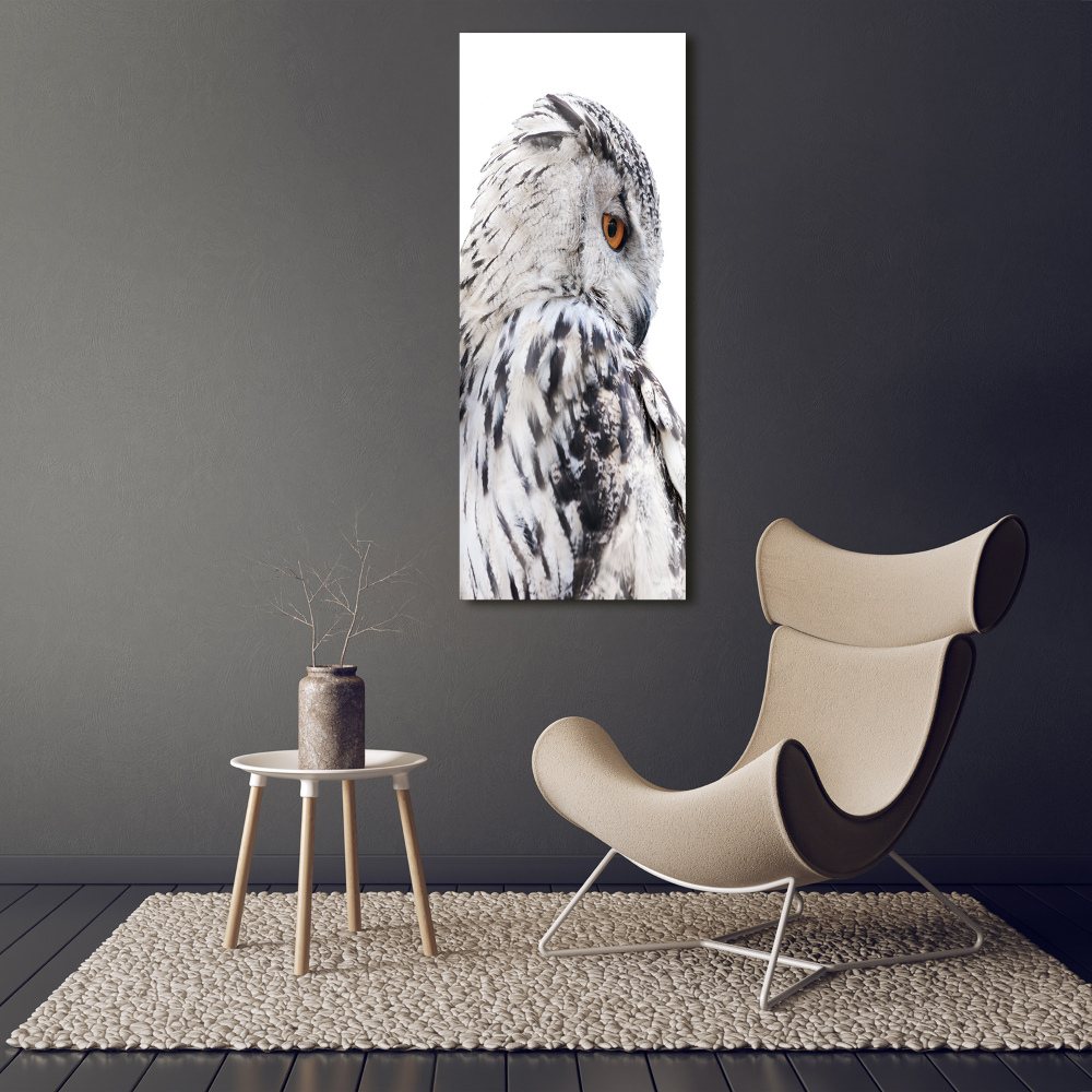 Tableau photo sur toile Hibou blanc